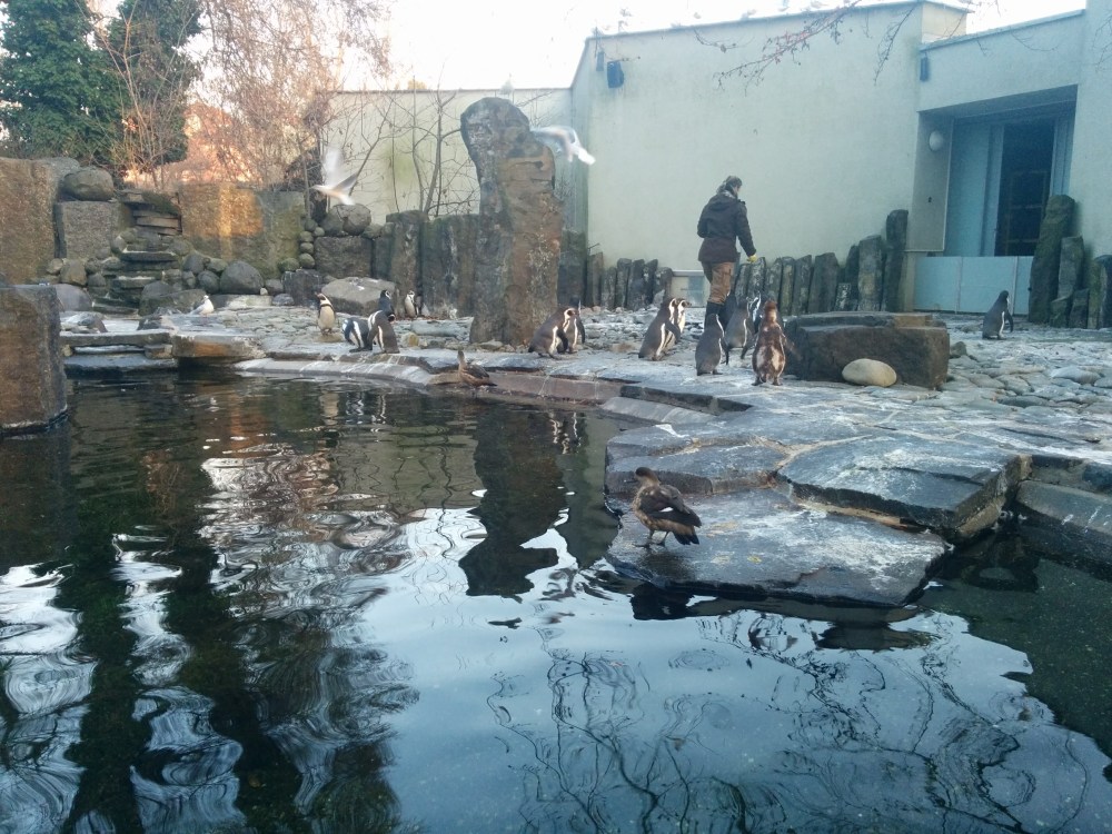 Praha_ZOO_11