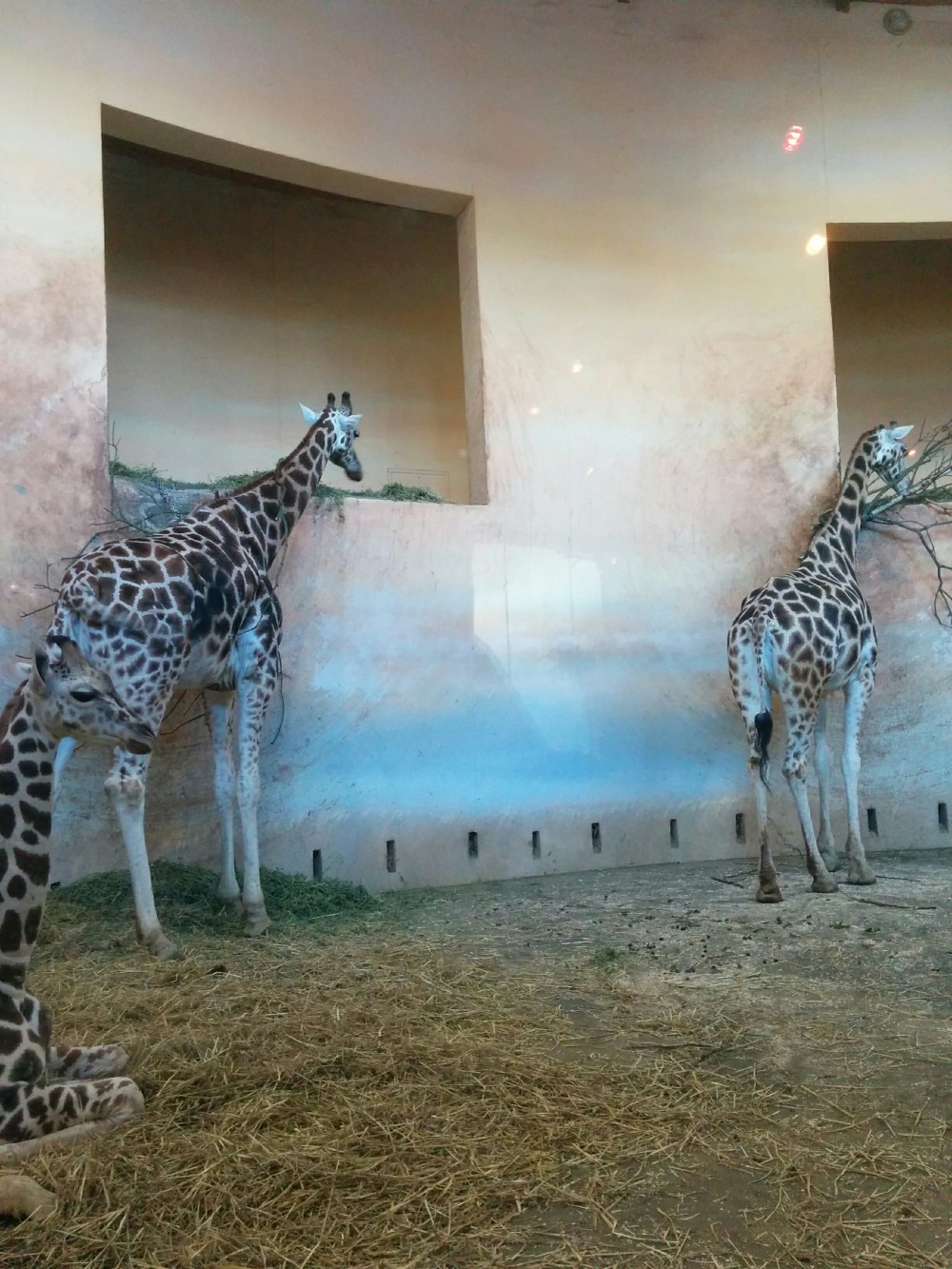 Praha_ZOO_4